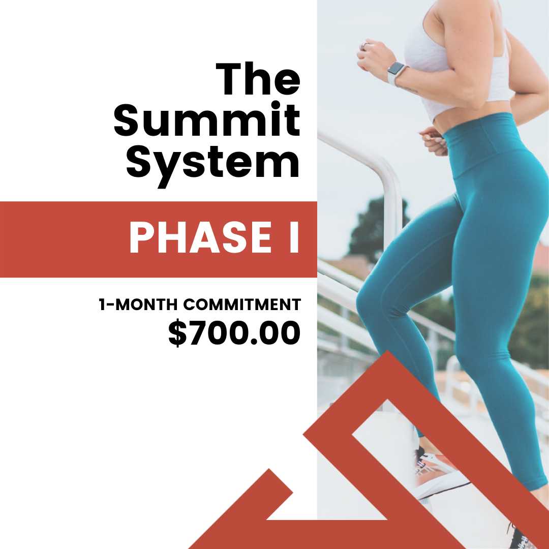 The Summit System - Phase I